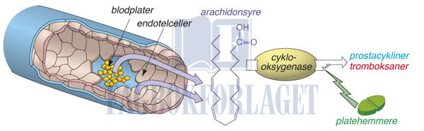 fig11-10.jpg