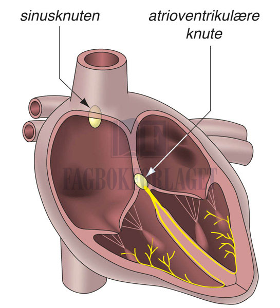 fig8-28.jpg