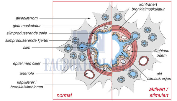 fig9-1.jpg