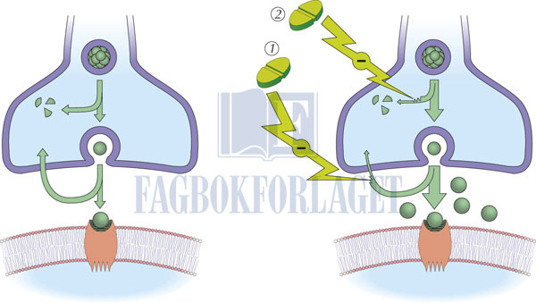 fig3-11.jpg