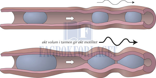 fig10-11.jpg