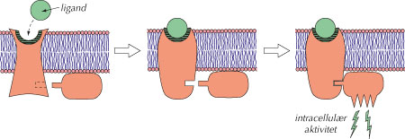 fig-3.7-(5.12).jpg