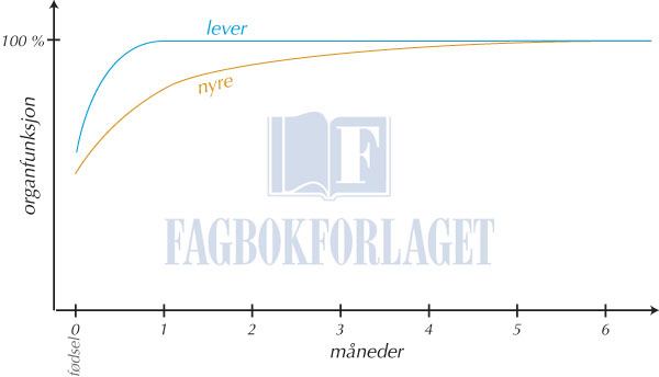 fig11-2.jpg