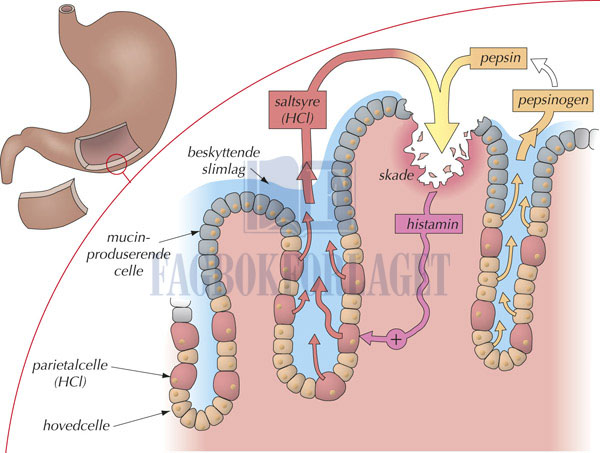 fig10-3.jpg