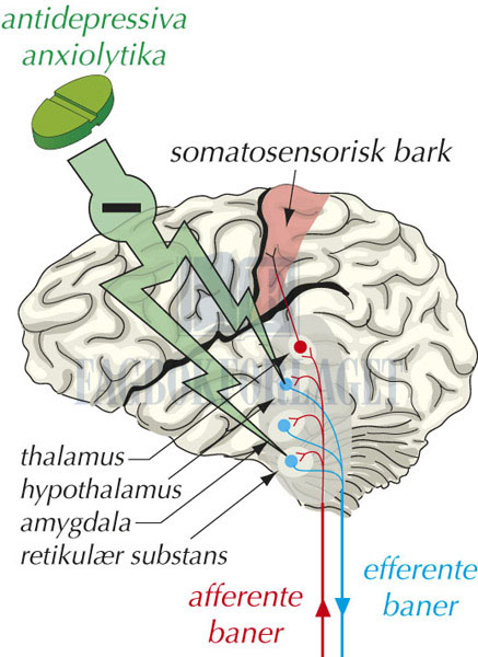 fig4-14.jpg