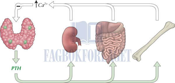 fig12-7.jpg