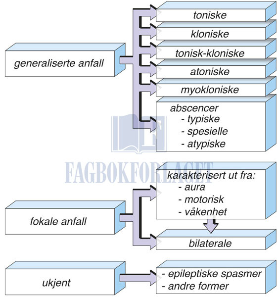 fig2-1.jpg