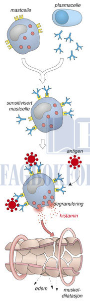 fig6-4.jpg