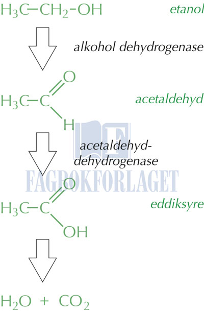 fig14-7.jpg