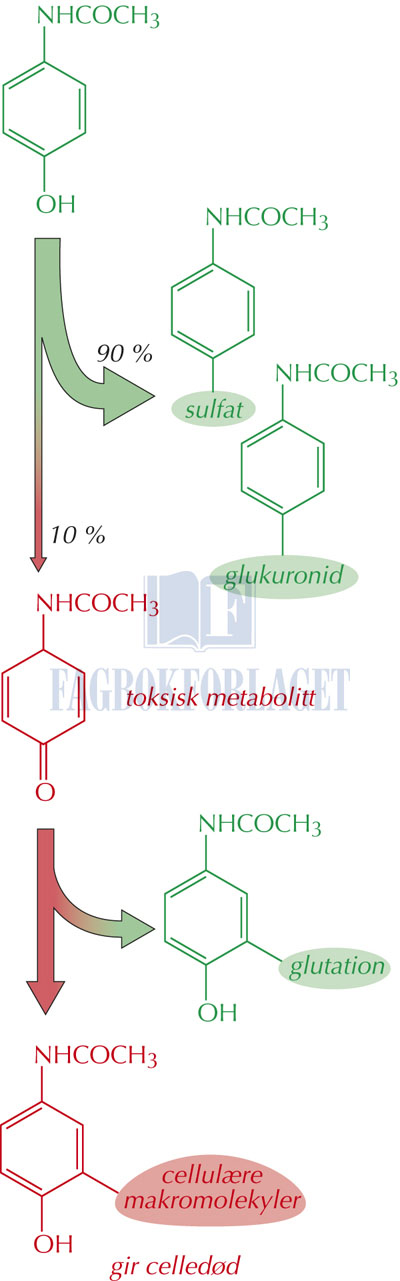 fig14-11.jpg