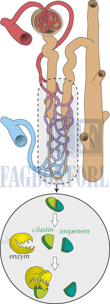 fig5-15.jpg