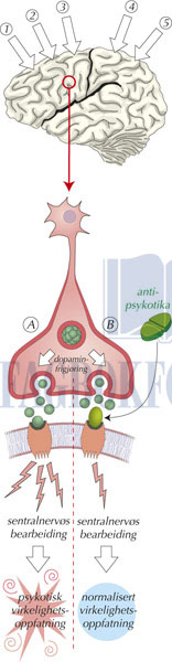 fig3-5.jpg