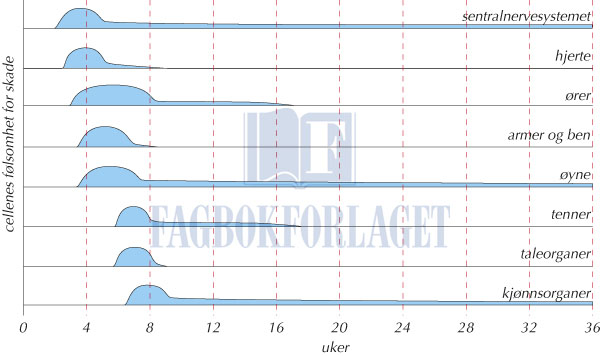 fig10-1.jpg