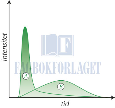 fig13-2.jpg