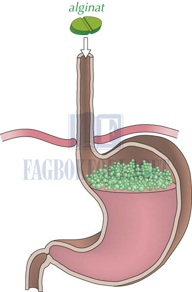 fig10-2.jpg