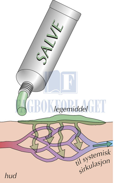 fig5-3.jpg