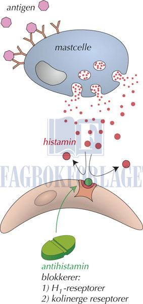 fig6-10.jpg