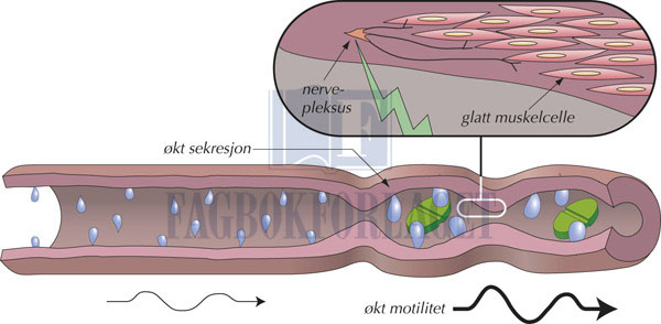 fig10-12.jpg