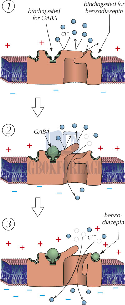 fig13-11.jpg