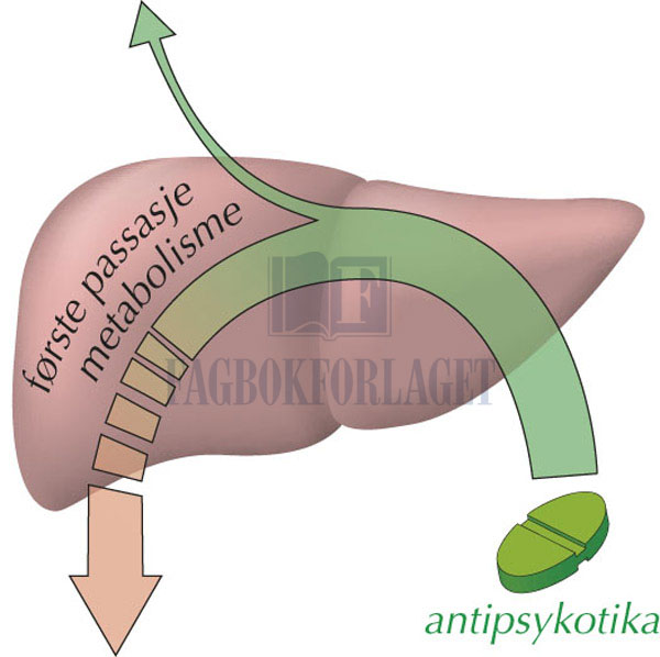 fig3-7.jpg