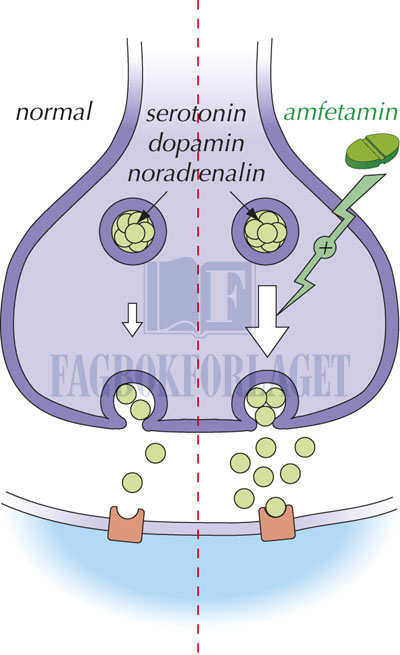 fig13-9.jpg