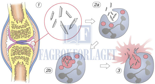 fig7-4.jpg