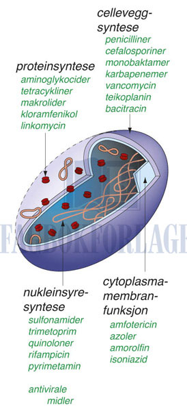 fig5-5.jpg