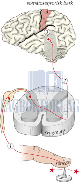 fig4-1.jpg