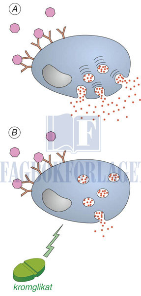 fig6-11.jpg