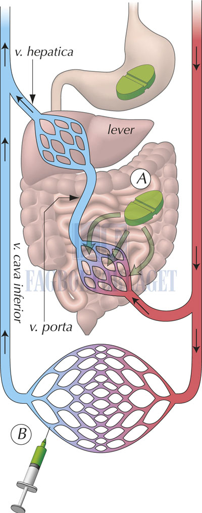 fig5-1.jpg