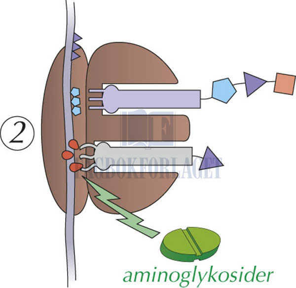 fig5-18.jpg