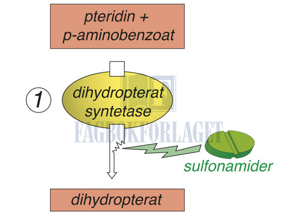 fig5-23.jpg