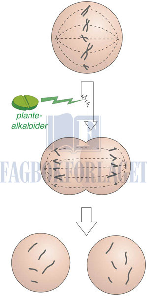 fig13-7.jpg