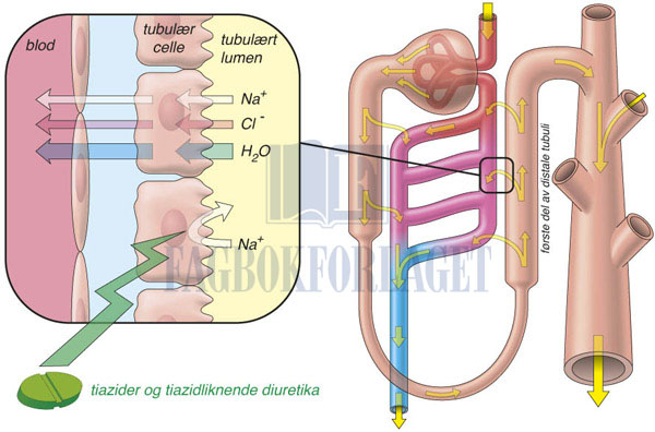 fig8-23.jpg