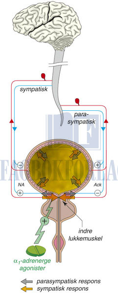 fig16-4.jpg