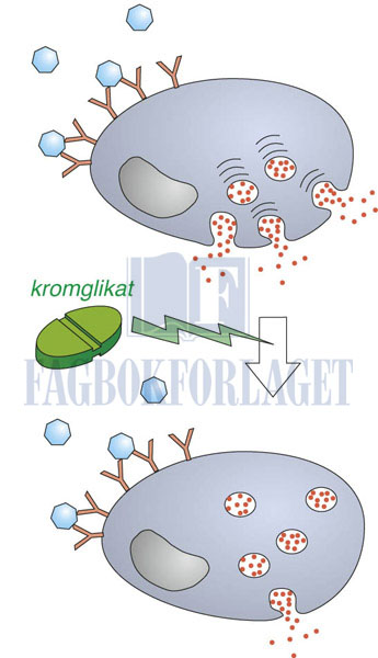 fig9-5.jpg