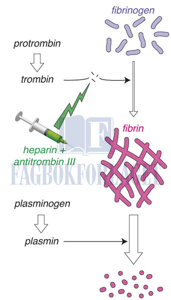 fig11-8.jpg