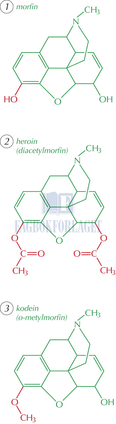 fig13-6.jpg