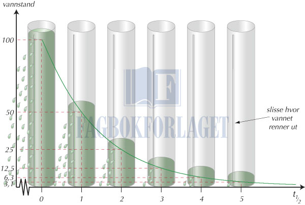fig4-4.jpg