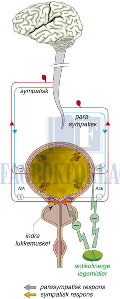 fig16-3.jpg