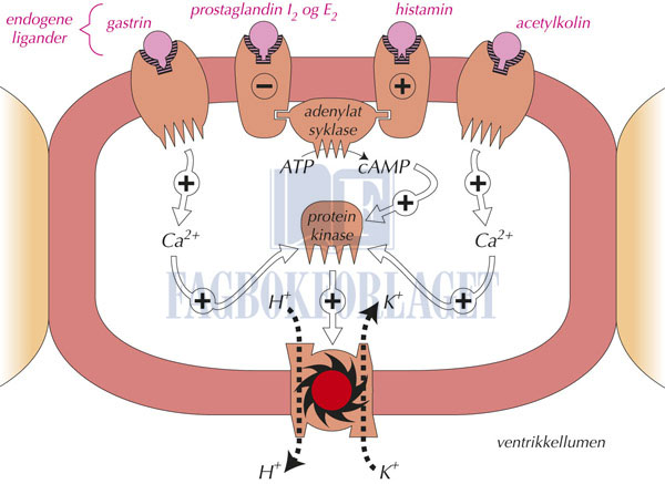 fig10-4.jpg