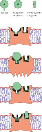 fig-3.4-(5.9).jpg