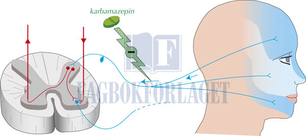 fig2-6.jpg