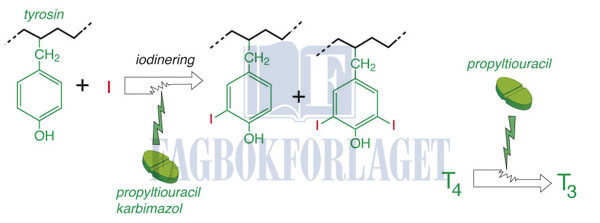 fig12-6.jpg