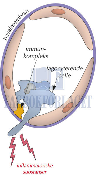 fig6-6.jpg