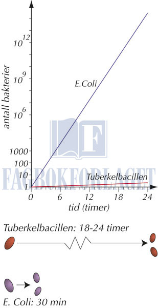 fig5-27.jpg