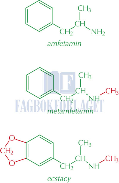 fig13-8.jpg