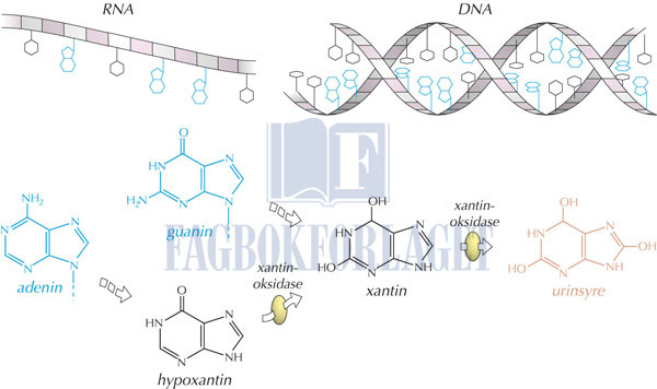 fig7-3.jpg