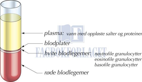 fig11-1.jpg