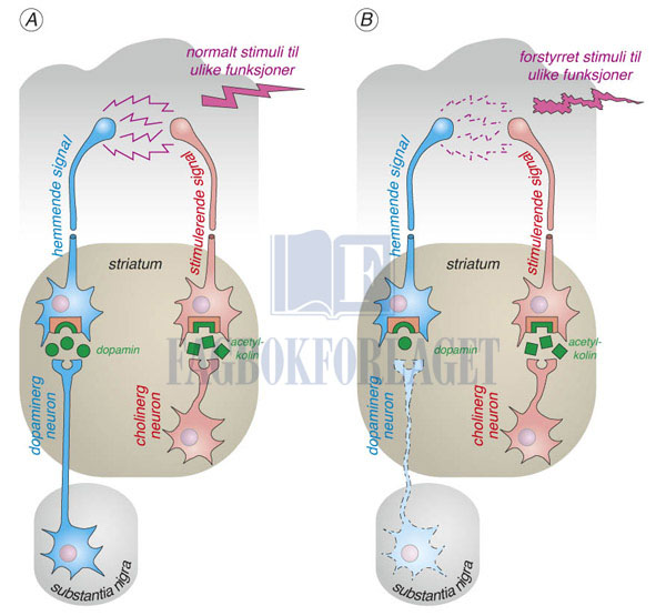 fig2-7.jpg